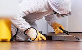 Best Termite Inspection and Treatment  in Dresser, WI